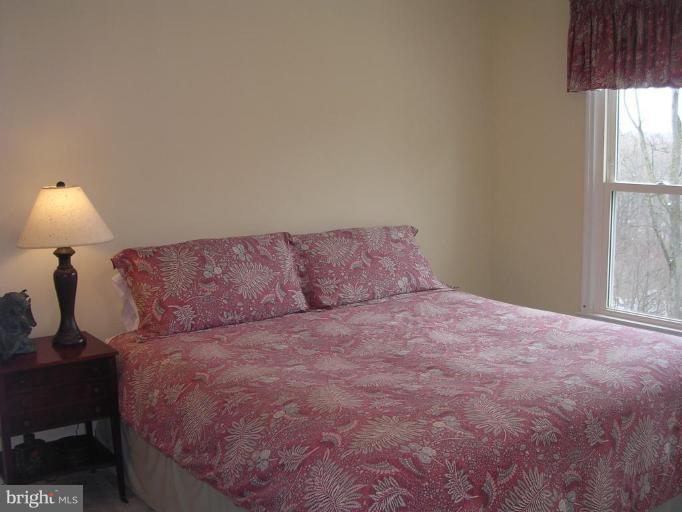 1354 Atwood Road Silver Spring, MD 20906 - Photo 18 of 21 GUEST BEDROOM WITH PRIVATE FULL BATH