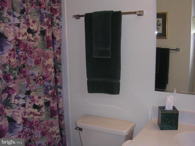 1354 Atwood Road Silver Spring, MD 20906 - Photo 19 of 21 GUEST BEDROOM PRIVATE FULL BATH WITH SOAKING TUB