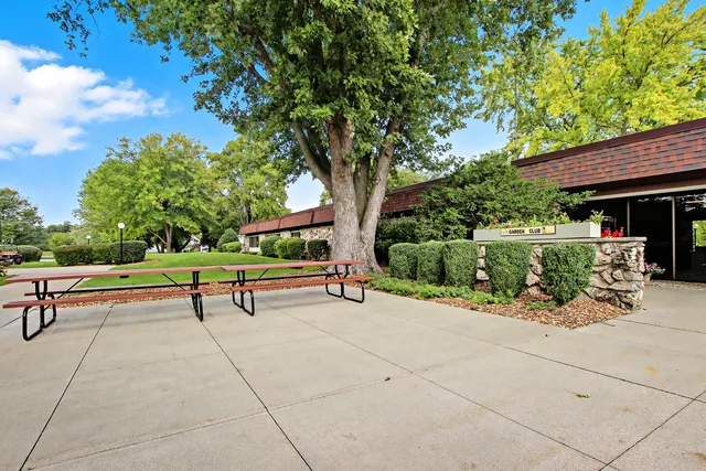a view of a park with tree s