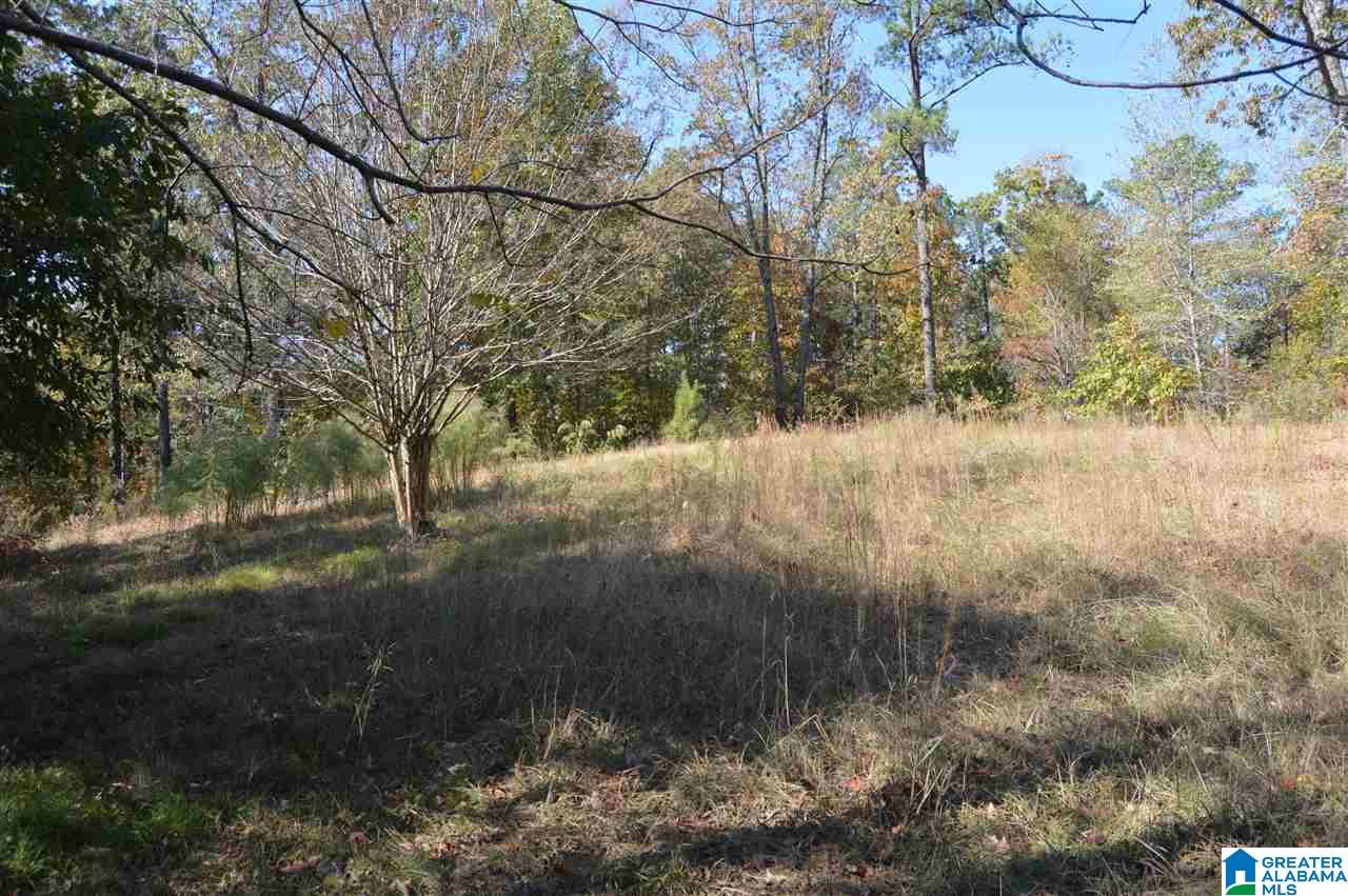 4094 McClendon Chapel Road Bessemer, AL 35022 - Photo 1 of 6