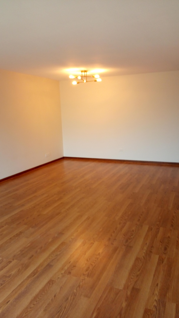 Undisclosed Address Chicago, IL 60630 - Photo 12 of 15 a view of an ocean and beach