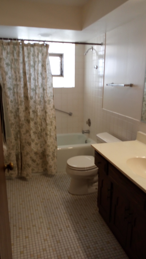 Undisclosed Address Chicago, IL 60630 - Photo 3 of 15 a bathroom with a sink a toilet and shower