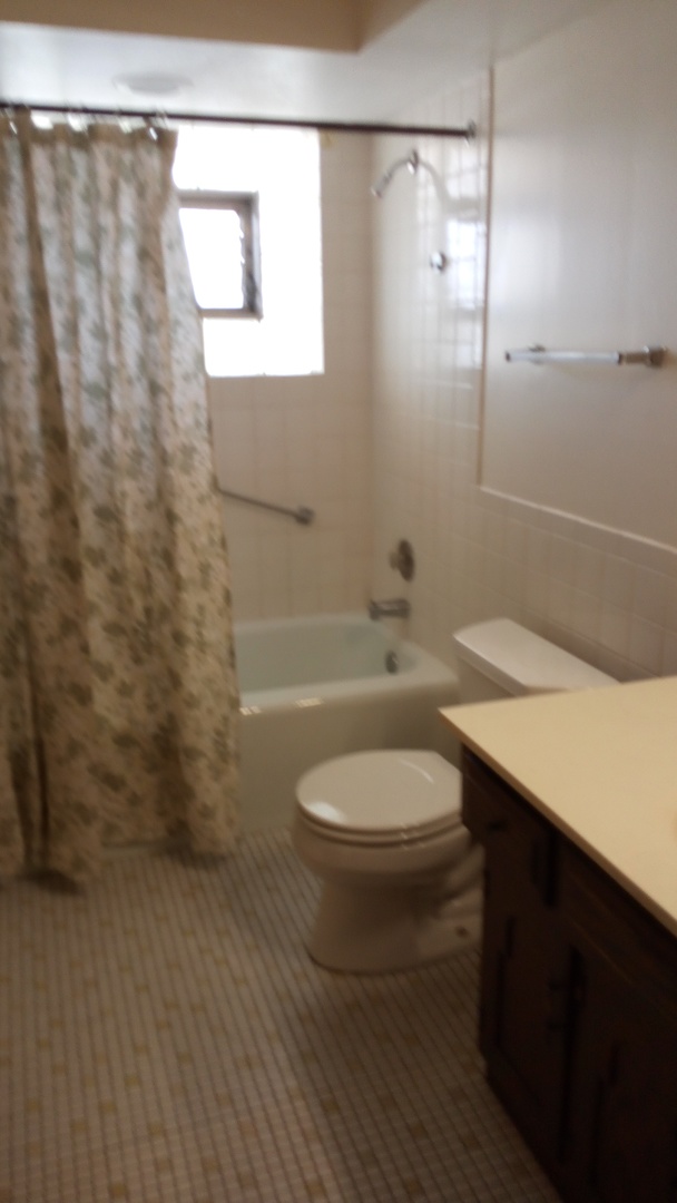 Undisclosed Address Chicago, IL 60630 - Photo 4 of 15 a bathroom with a sink a toilet and shower