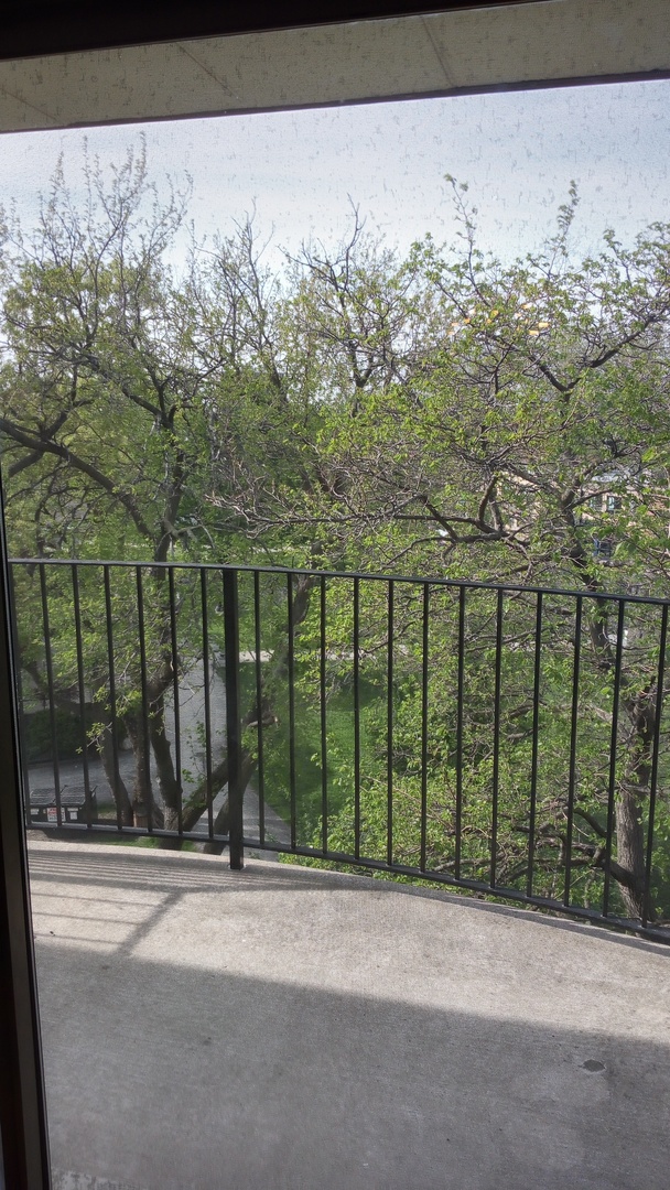 Undisclosed Address Chicago, IL 60630 - Photo 9 of 15 a view of a street from a balcony