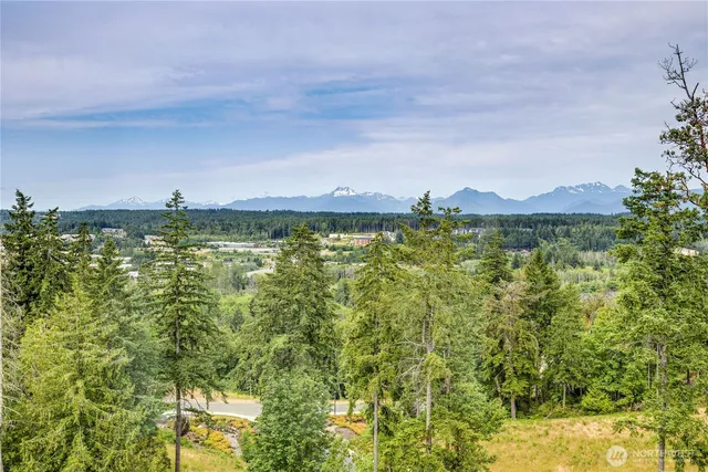 a view of a lake from a yard