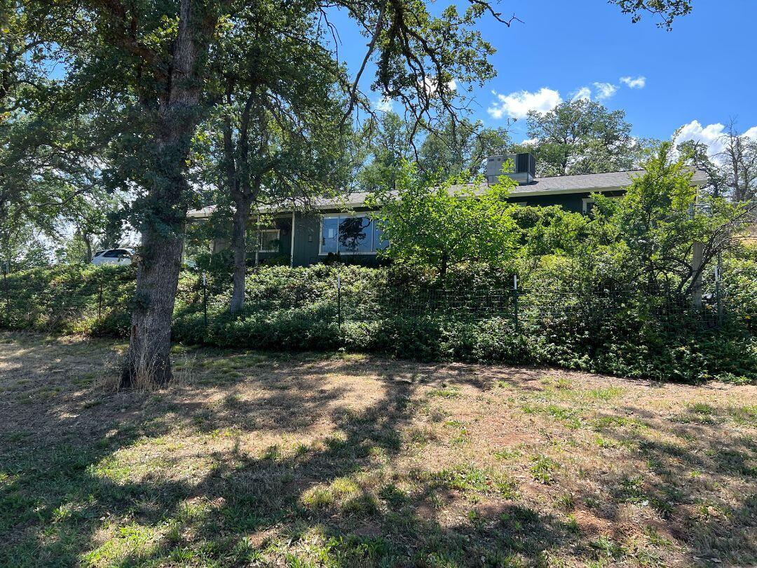 9733 Hidden Lane Palo Cedro, CA 96073 - Photo 2 of 63 a view of a yard with plants and a trees