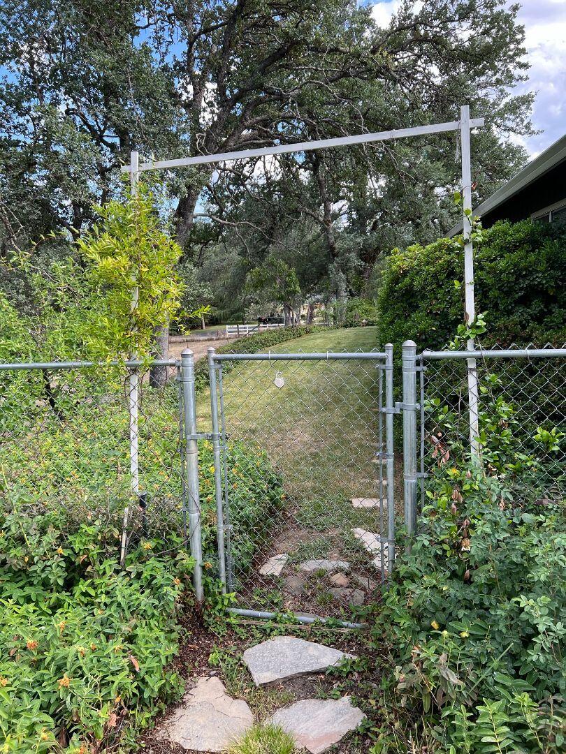 9733 Hidden Lane Palo Cedro, CA 96073 - Photo 38 of 63 a view of a forest