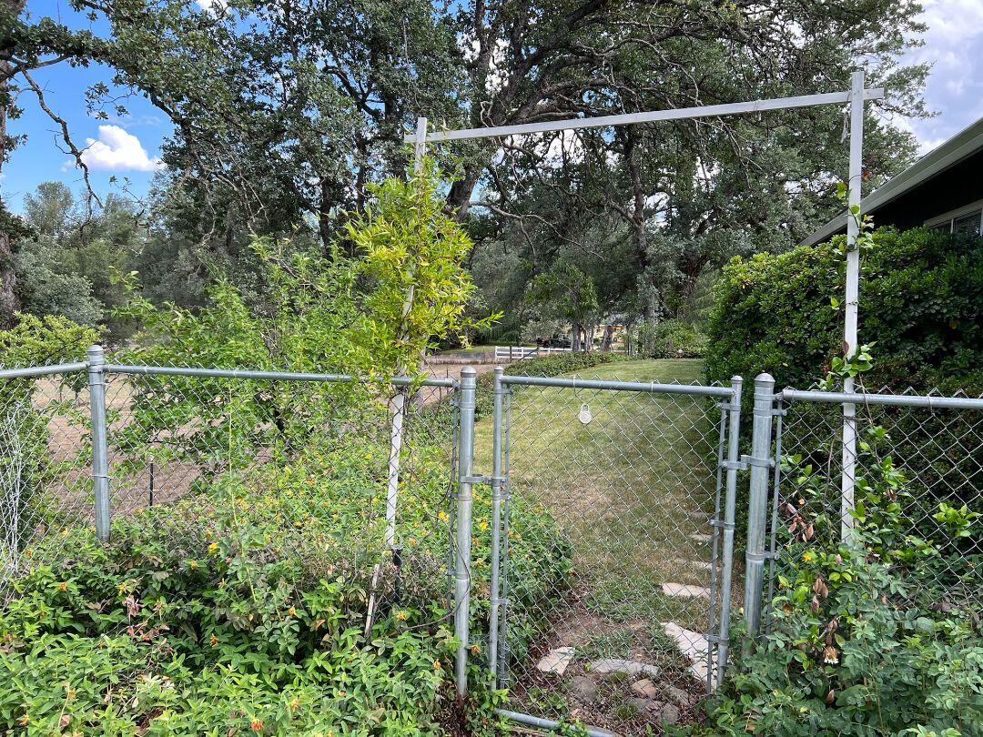 9733 Hidden Lane Palo Cedro, CA 96073 - Photo 39 of 63 a small garden from a balcony