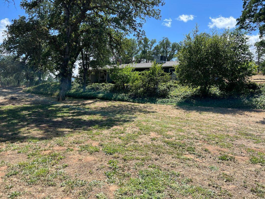 9733 Hidden Lane Palo Cedro, CA 96073 - Photo 4 of 63 a view of a yard with a tree