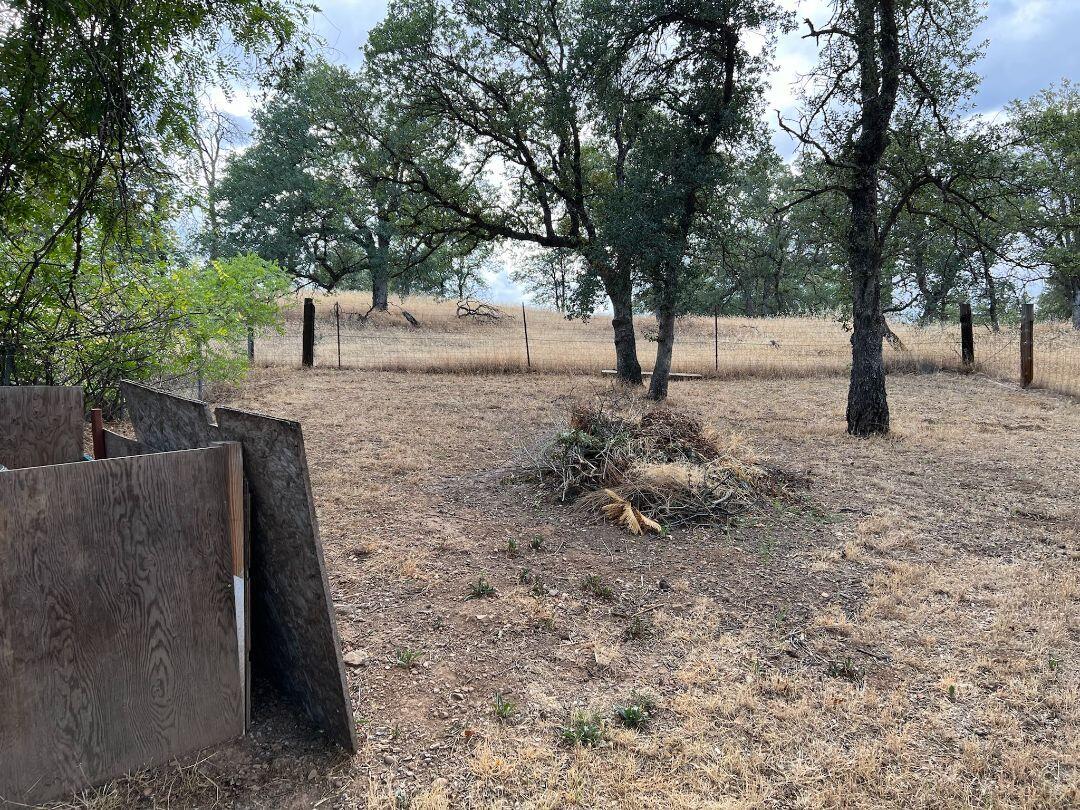 9733 Hidden Lane Palo Cedro, CA 96073 - Photo 44 of 63 a view of outdoor space with tree s