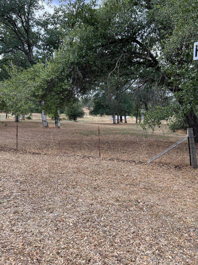 9733 Hidden Lane Palo Cedro, CA 96073 - Photo 56 of 63 a view of a yard with a tree