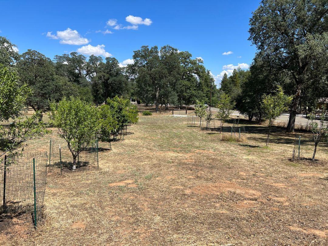 9733 Hidden Lane Palo Cedro, CA 96073 - Photo 57 of 63 a view of a yard with a slide