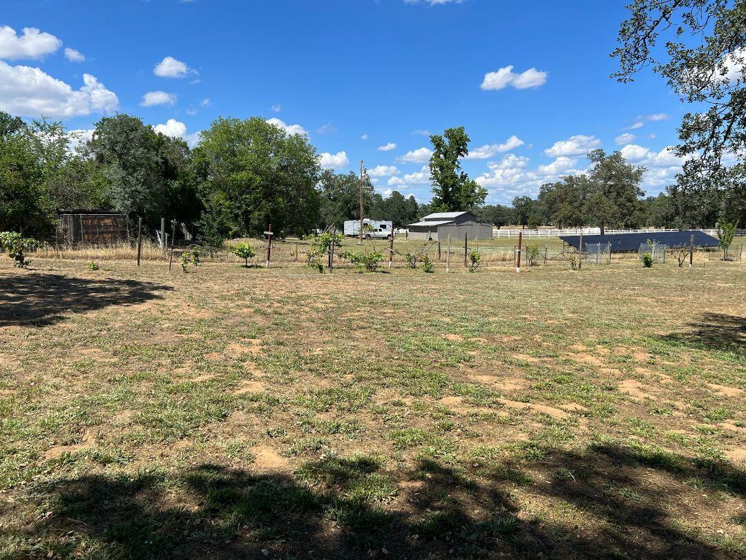 9733 Hidden Lane Palo Cedro, CA 96073 - Photo 60 of 63 a swimming pool with trees in the background