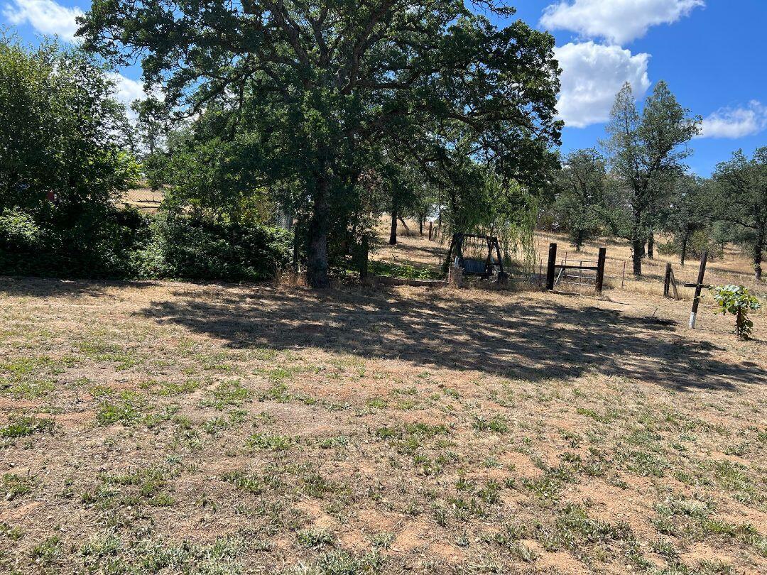 9733 Hidden Lane Palo Cedro, CA 96073 - Photo 62 of 63 a view of a yard with trees