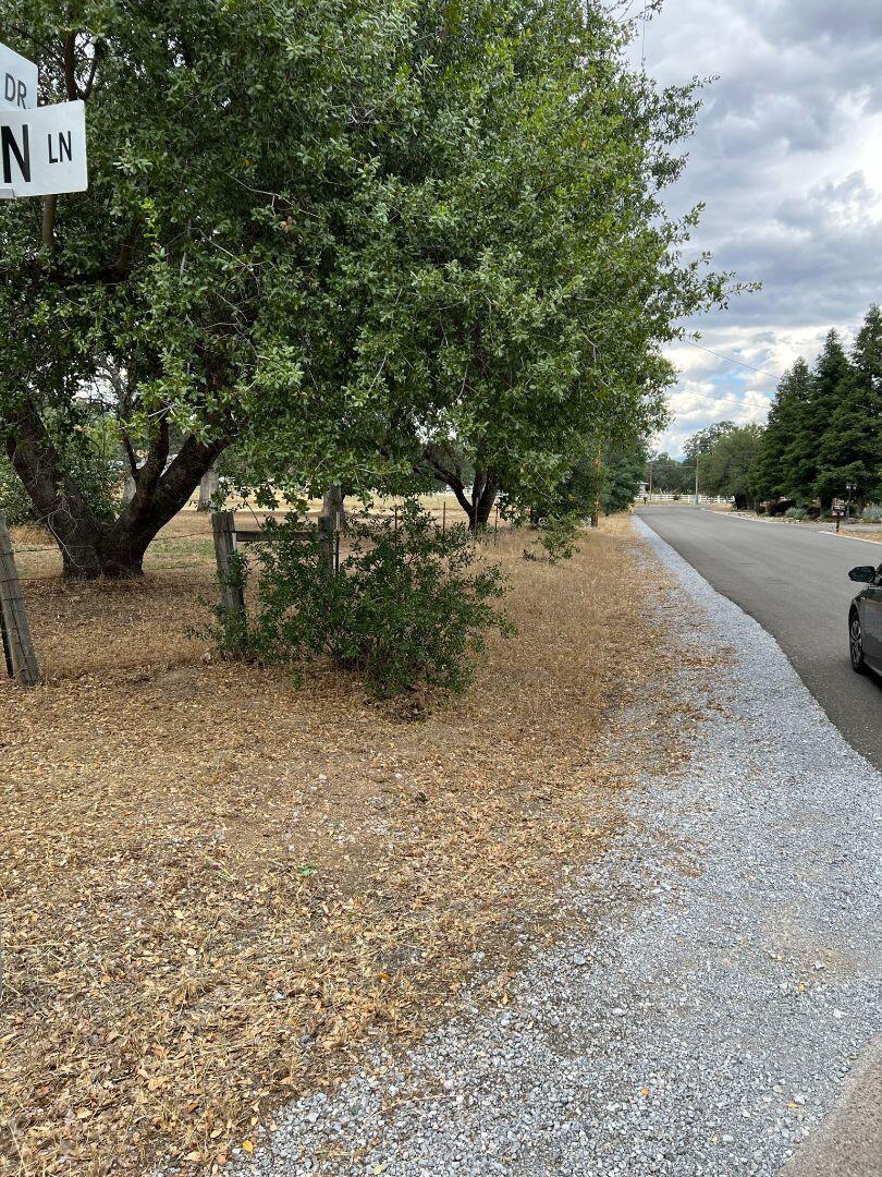 9733 Hidden Lane Palo Cedro, CA 96073 - Photo 63 of 63 a view of a yard with plants and trees
