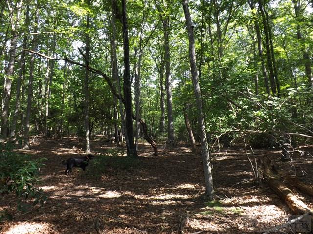 Duncan Ridge Road Sparta, NC 28675 - Photo 1 of 11