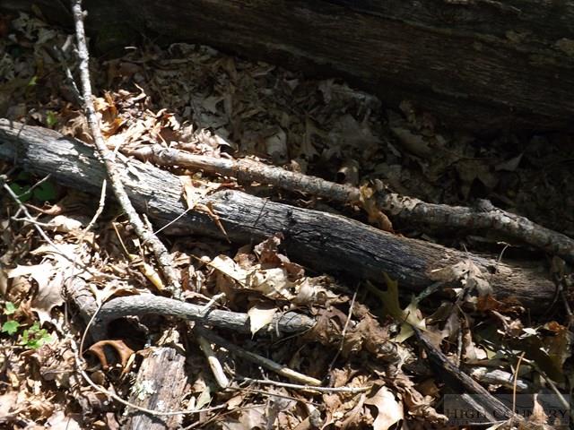Duncan Ridge Road Sparta, NC 28675 - Photo 11 of 11