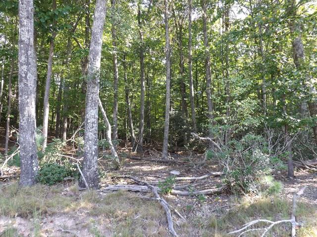 Duncan Ridge Road Sparta, NC 28675 - Photo 2 of 11