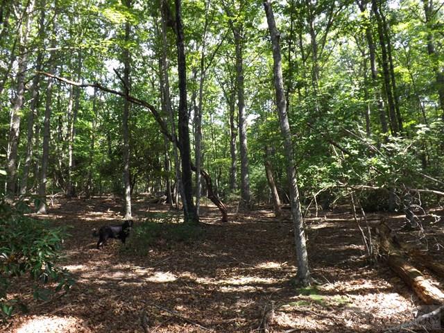 Duncan Ridge Road Sparta, NC 28675 - Photo 3 of 11
