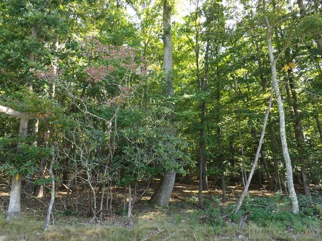 Duncan Ridge Road Sparta, NC 28675 - Photo 4 of 11