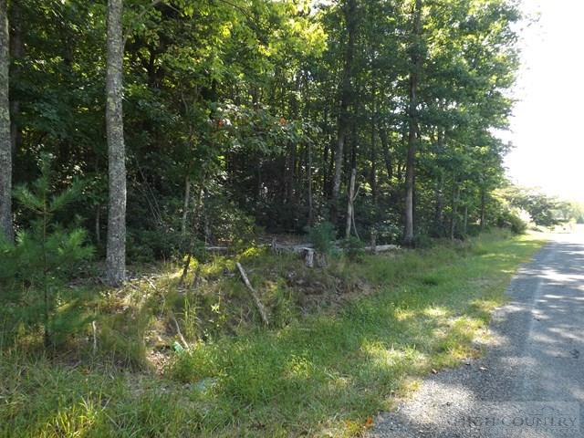 Duncan Ridge Road Sparta, NC 28675 - Photo 5 of 11