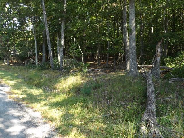 Duncan Ridge Road Sparta, NC 28675 - Photo 6 of 11
