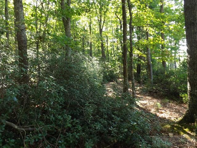 Duncan Ridge Road Sparta, NC 28675 - Photo 8 of 11