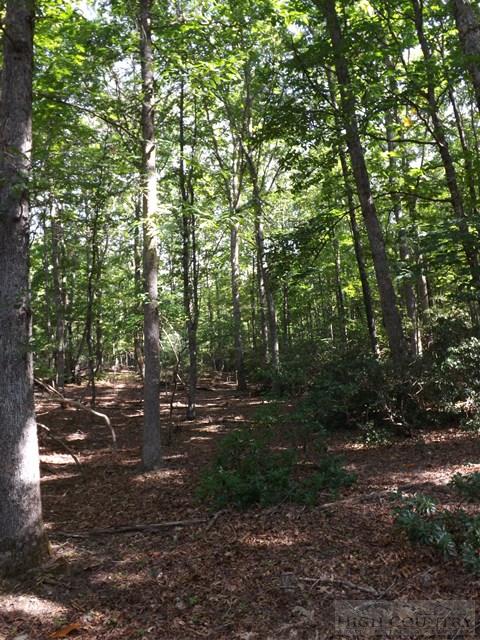 Duncan Ridge Road Sparta, NC 28675 - Photo 10 of 11