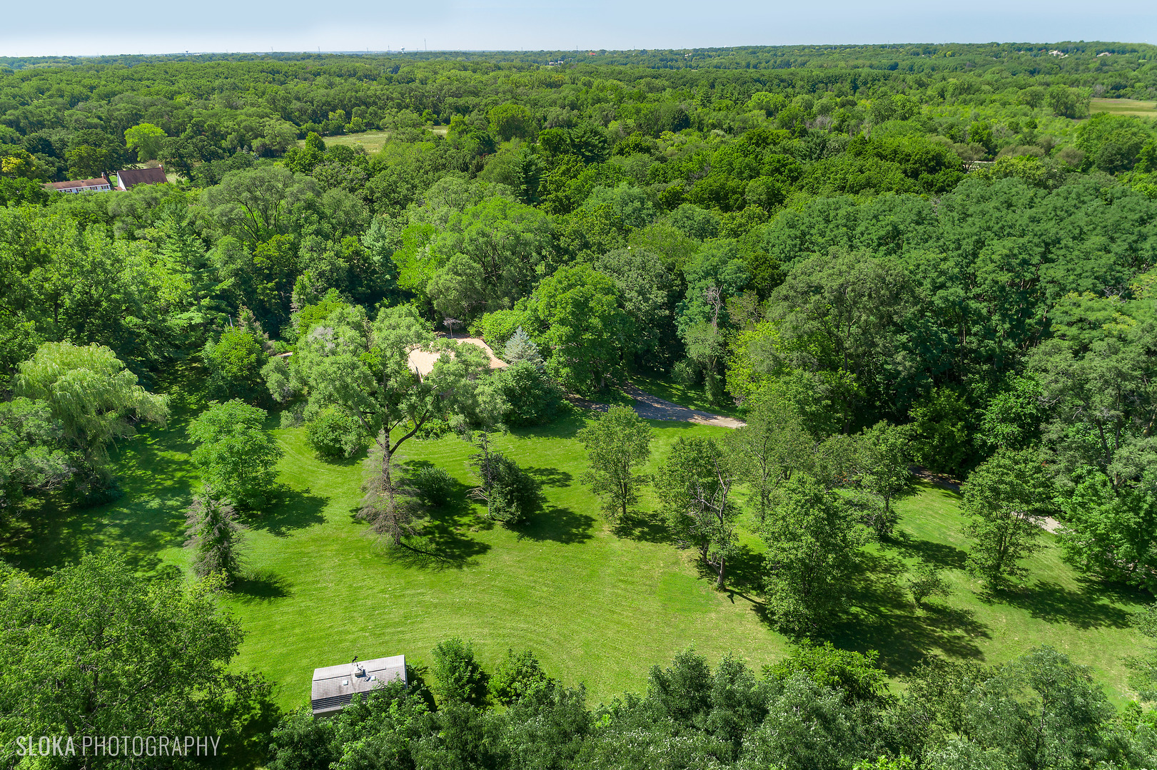 322 Old Sutton Road Barrington, IL 60010 - Photo 27 of 37 a view of a lush green forest with lots of trees