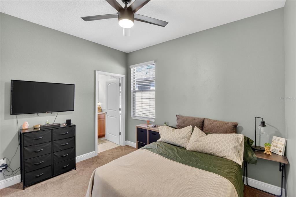 11439 Crowne Pointe Street New Port Richey, FL 34654 - Photo 14 of 50 a bedroom with a bed and a flat screen tv