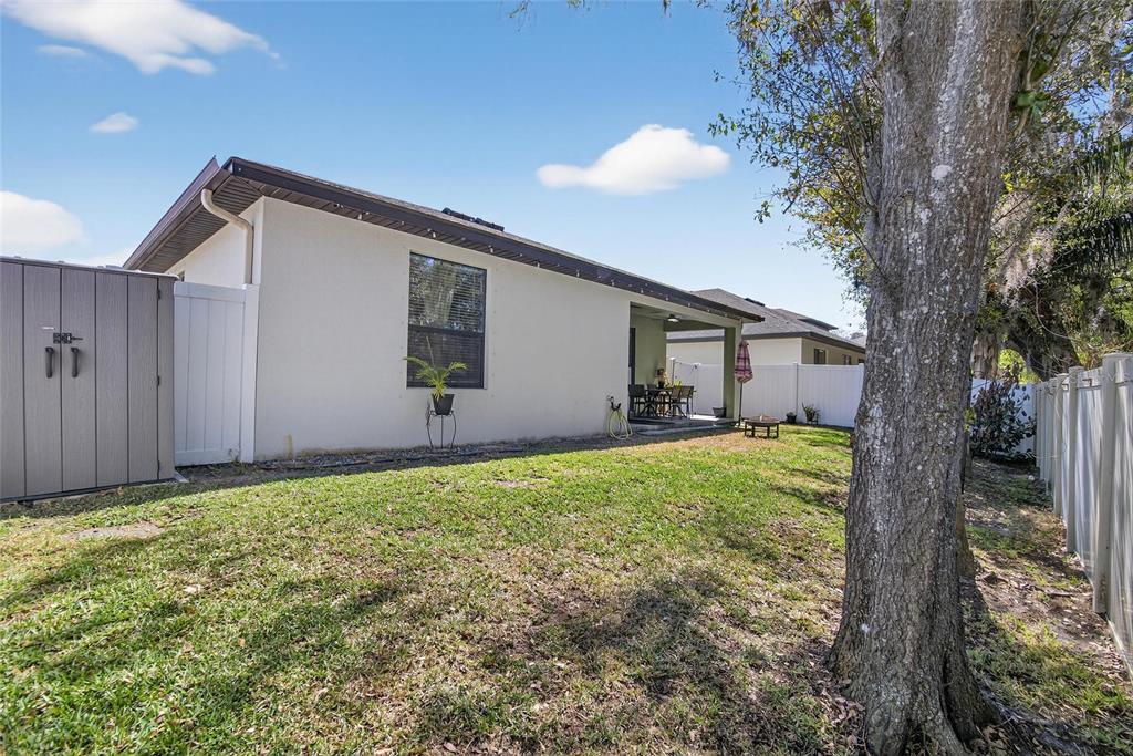 11439 Crowne Pointe Street New Port Richey, FL 34654 - Photo 42 of 50 a backyard of a house with plants and large tree