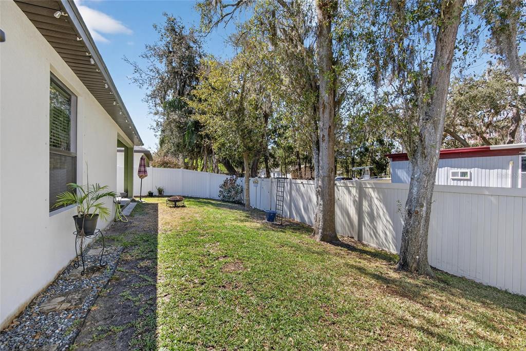 11439 Crowne Pointe Street New Port Richey, FL 34654 - Photo 43 of 50 a view of a backyard with a tree