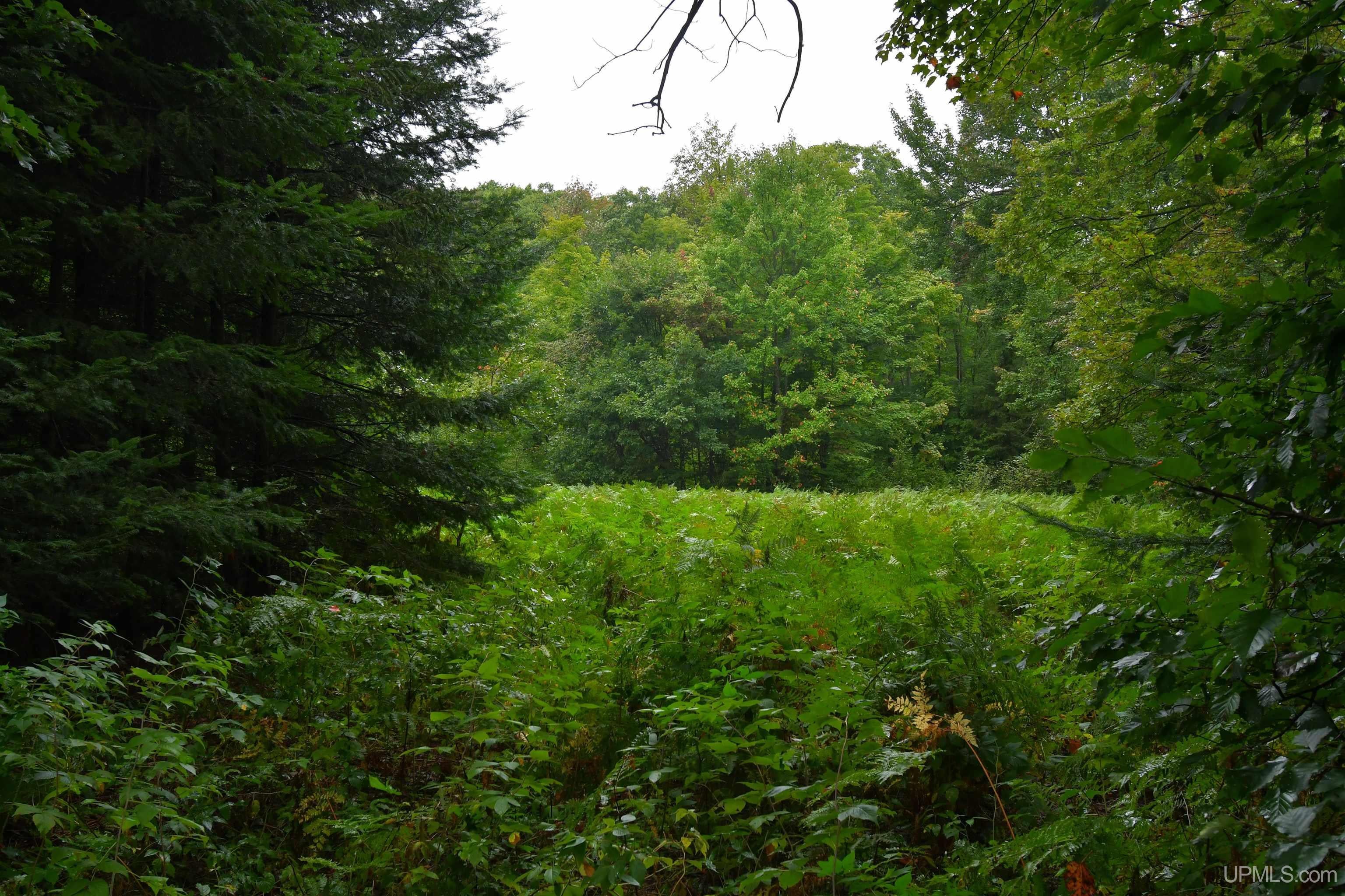 23 East 23 Mile Road Pickford, MI 49774 - Photo 48 of 58 Gallery Image 48
