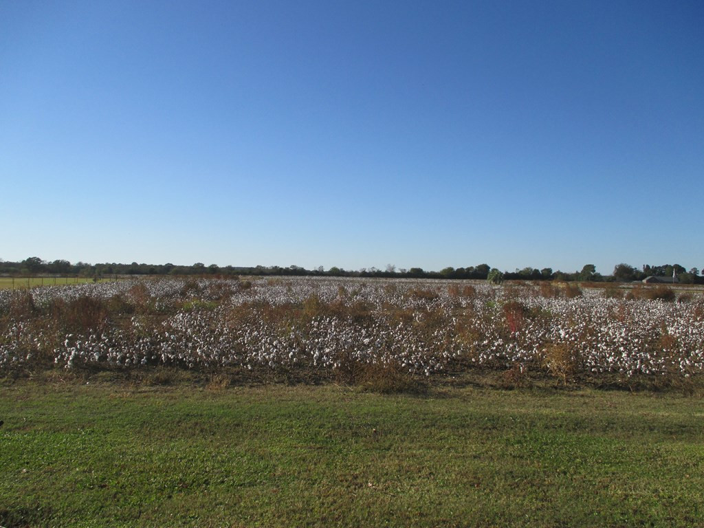 Lot E Ammons Road Sumter, SC 29153 - Photo 3 of 3 Gallery Image 3