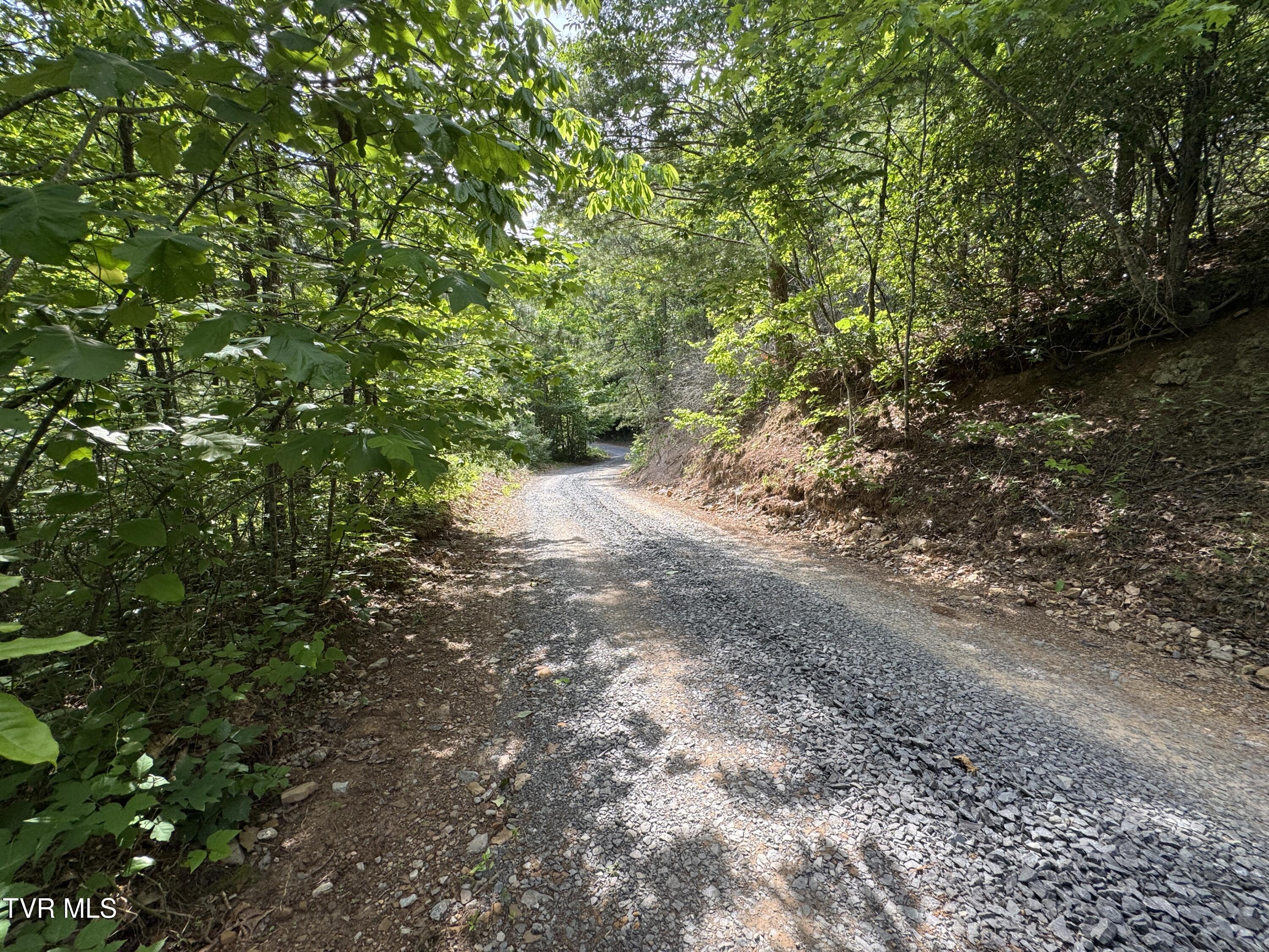 1555 Hamner Hollow Road Big Stone Gap, VA 24219 - Photo 40 of 41 SCENIC VIEW 3 OF PRIVATE DRIVEWAY