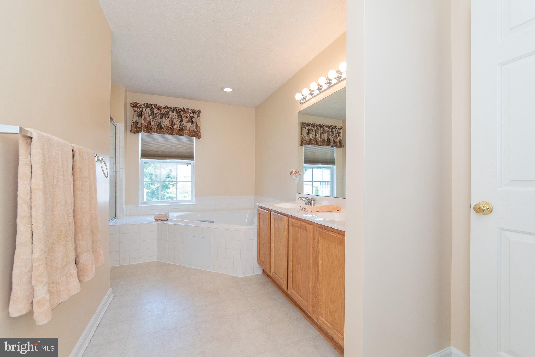 415 Spry Island Road Joppa, MD 21085 - Photo 14 of 49 Master Bath