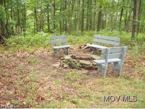 0 C Road Macfarlan, WV 26148 - Photo 9 of 17