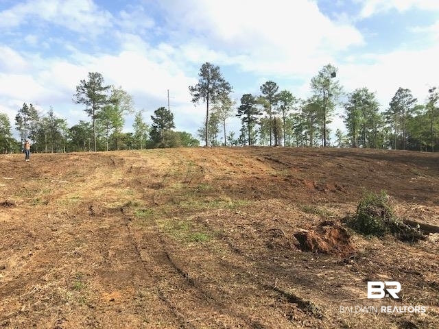 0 West 7th Street Bay Minette, AL 36507 - Photo 7 of 7