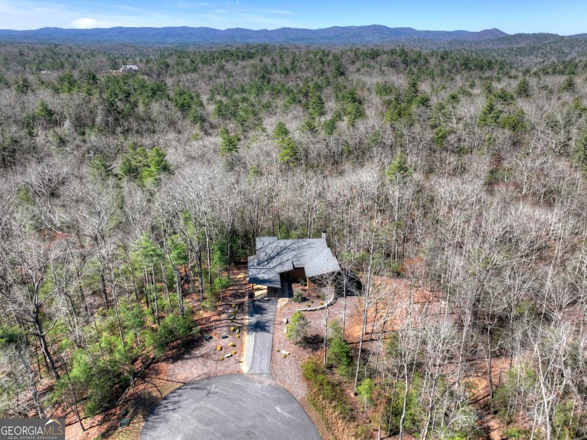 466 Watersong Bluff West Ellijay, GA 30540 - Photo 6 of 67