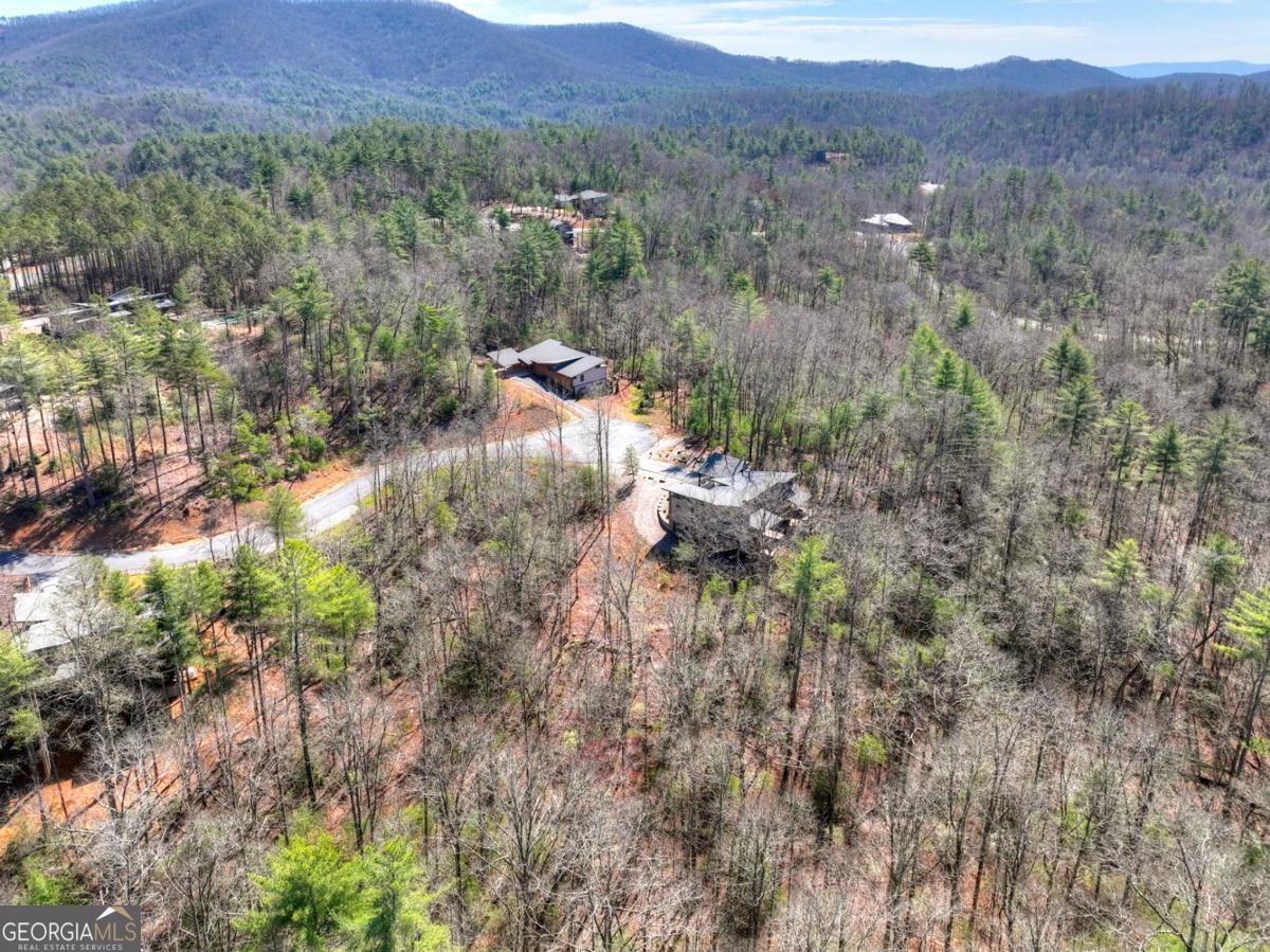 466 Watersong Bluff West Ellijay, GA 30540 - Photo 7 of 67