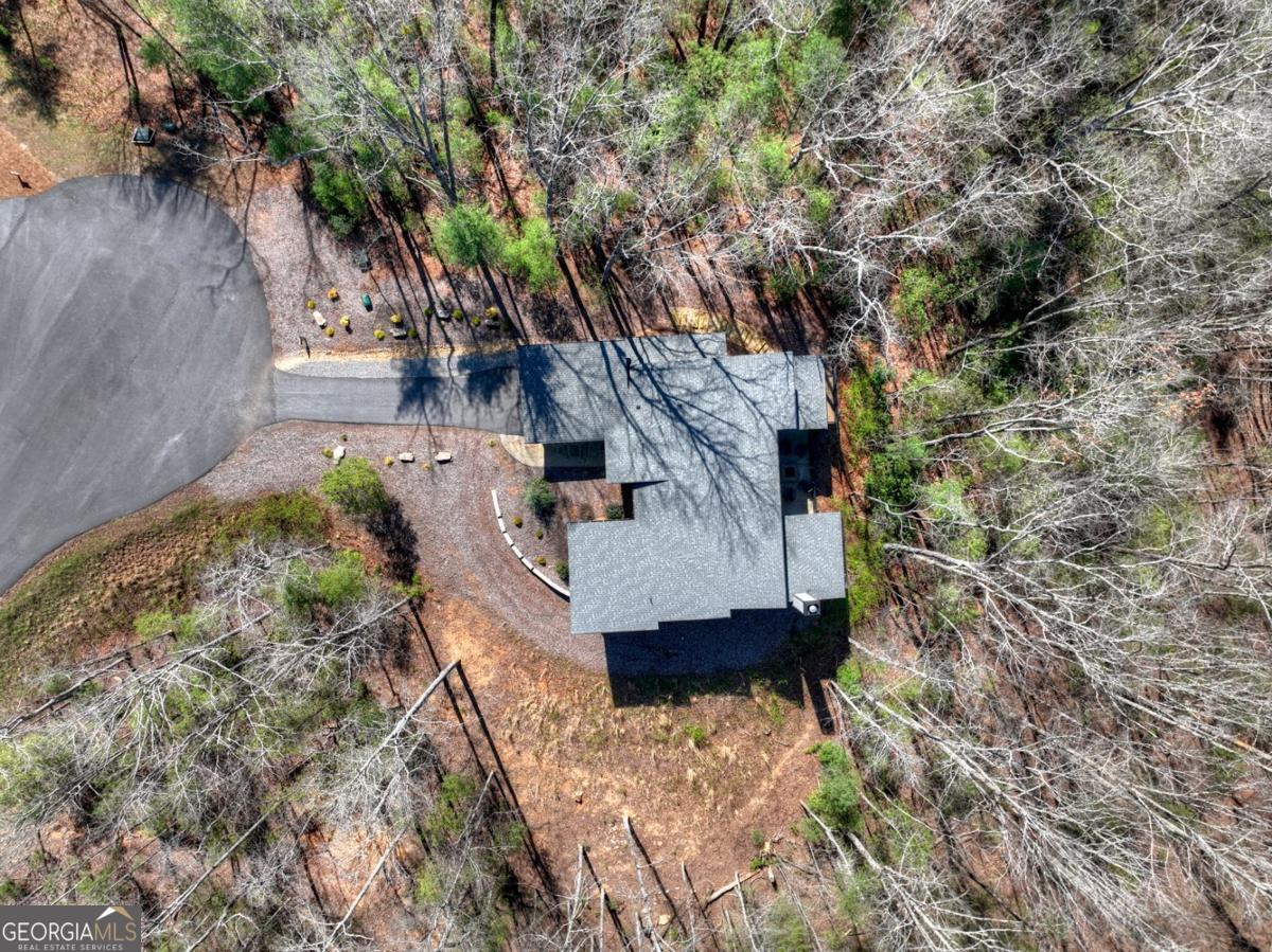 466 Watersong Bluff West Ellijay, GA 30540 - Photo 8 of 67