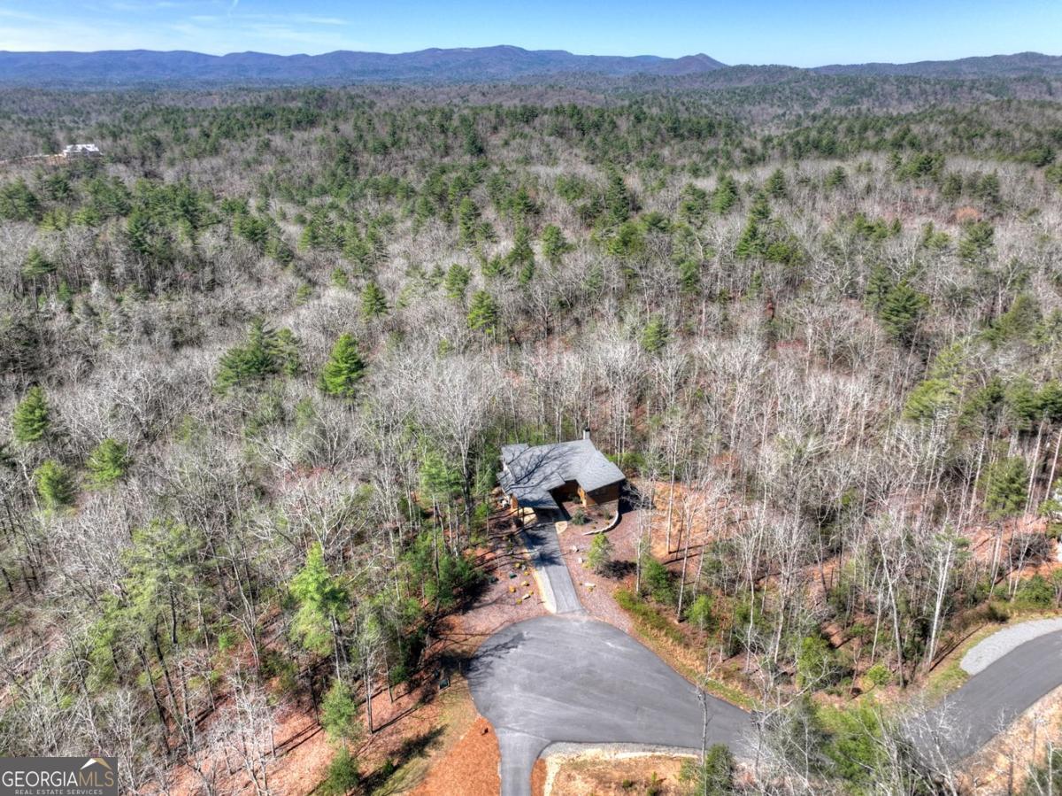 466 Watersong Bluff West Ellijay, GA 30540 - Photo 9 of 67