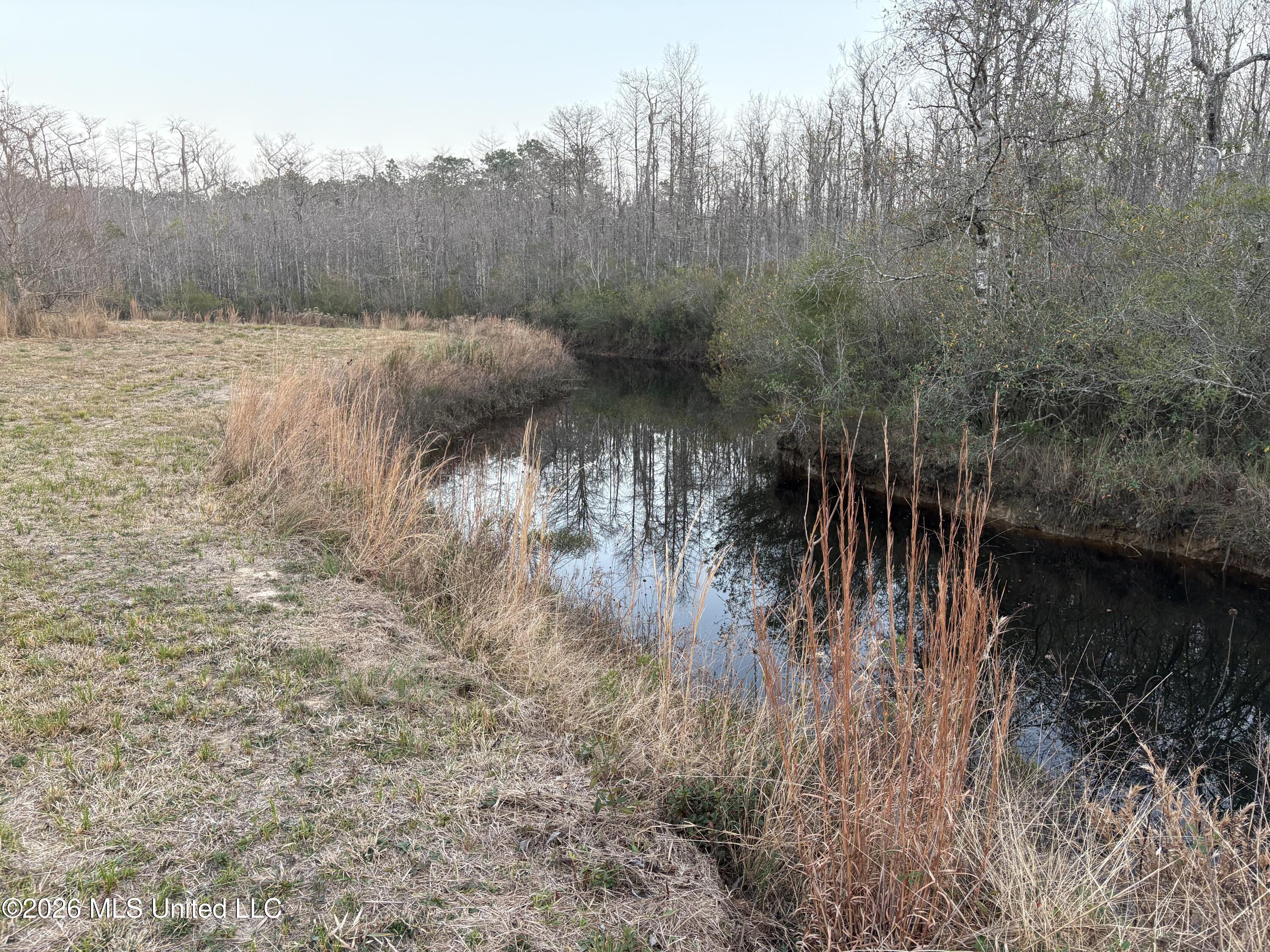 Greenfields Road Moss Point, MS 39562 - Photo 9 of 10 8