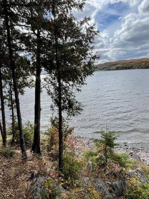837 Sly Brook Road Wallagrass, ME 04781 - Photo 8 of 55