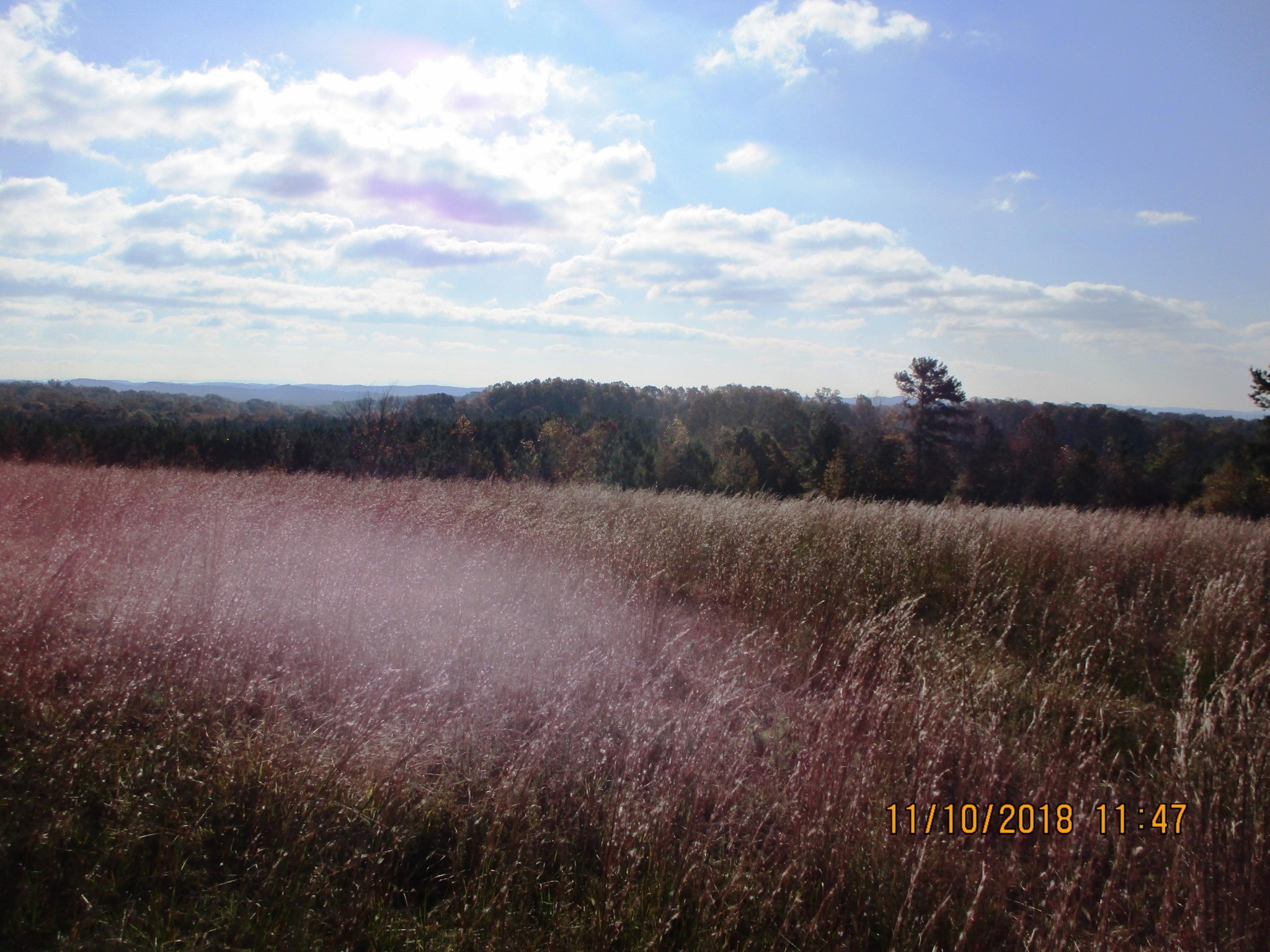 0 Lot 7 Sneed Road Dayton, TN 37321 - Photo 16 of 26 a view of a field
