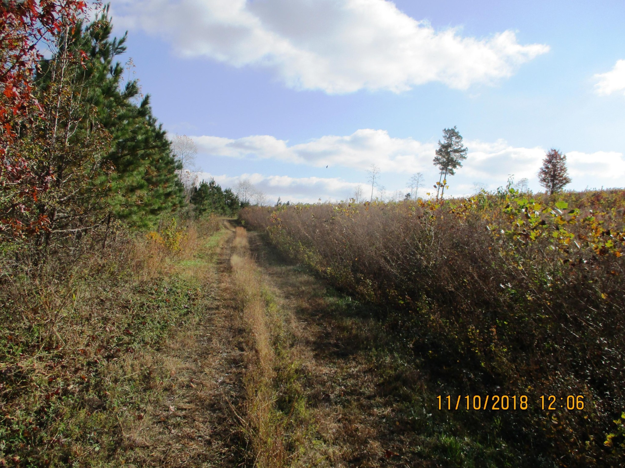 0 Lot 7 Sneed Road Dayton, TN 37321 - Photo 23 of 26 a view of a sky