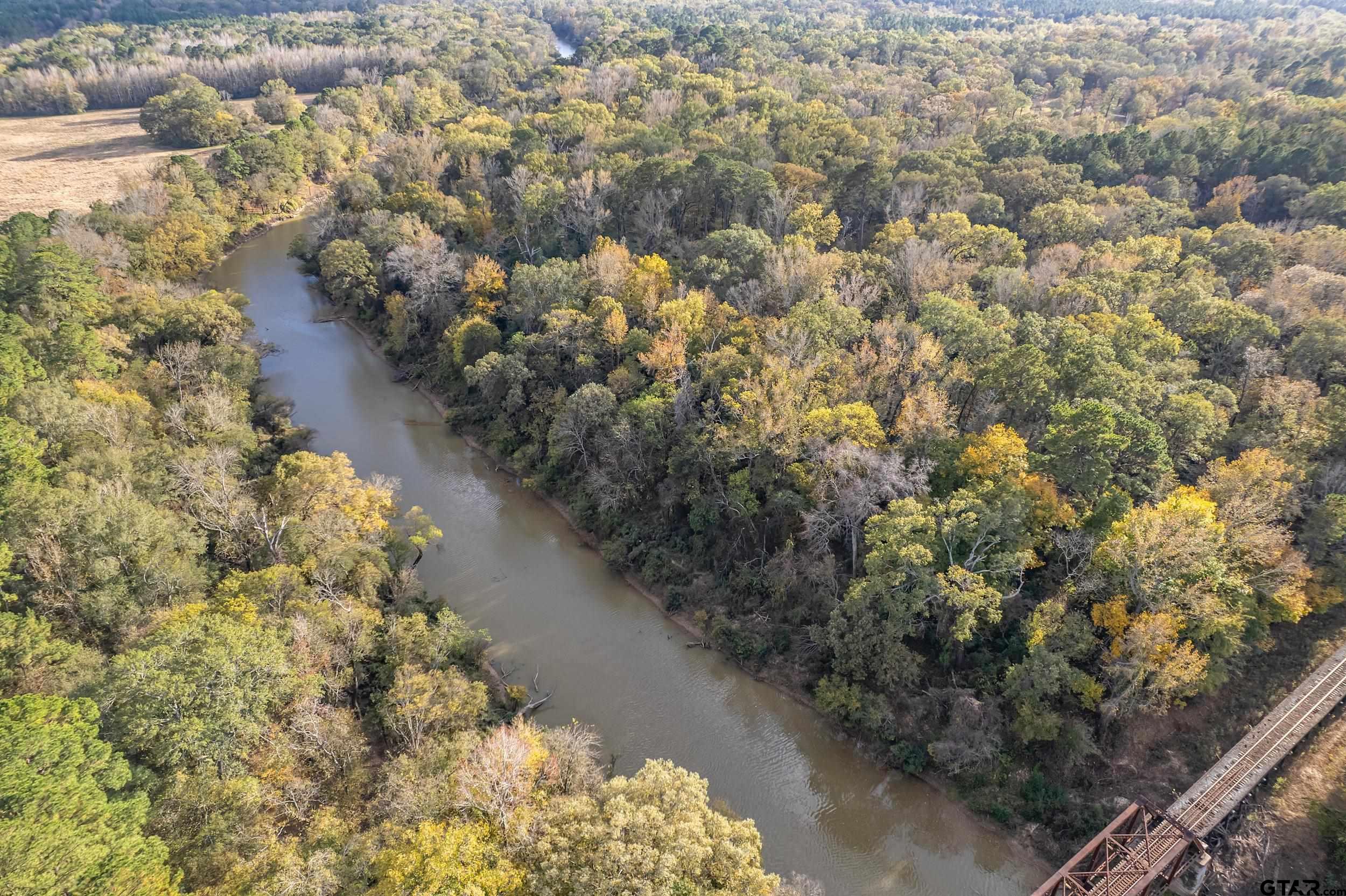 20304 State Highway 155 Winona, TX 75792 - Photo 12 of 48 a view of a forest with a yard