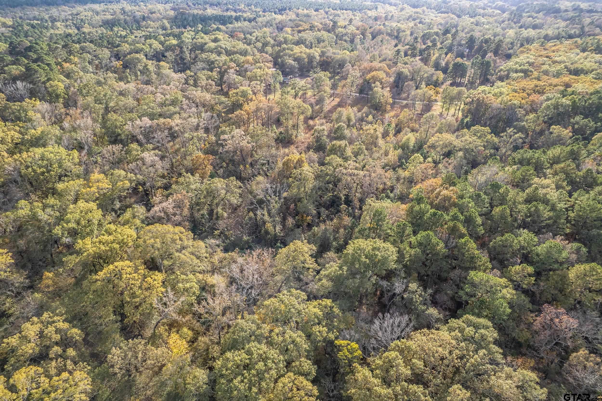 20304 State Highway 155 Winona, TX 75792 - Photo 13 of 48 a view of a field