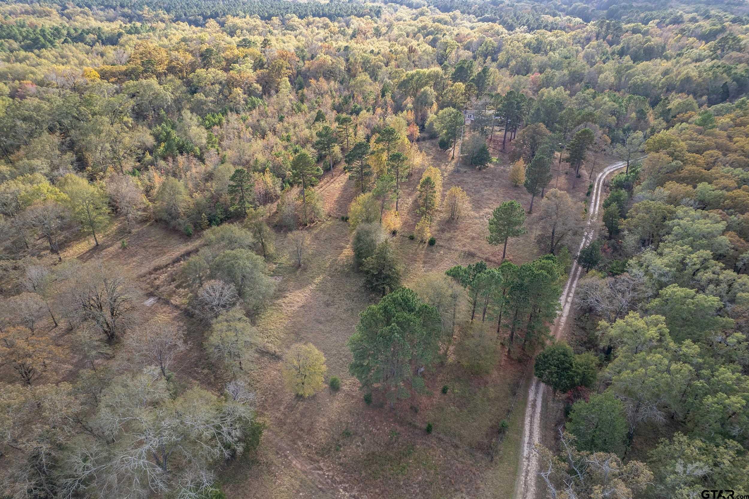 20304 State Highway 155 Winona, TX 75792 - Photo 14 of 48