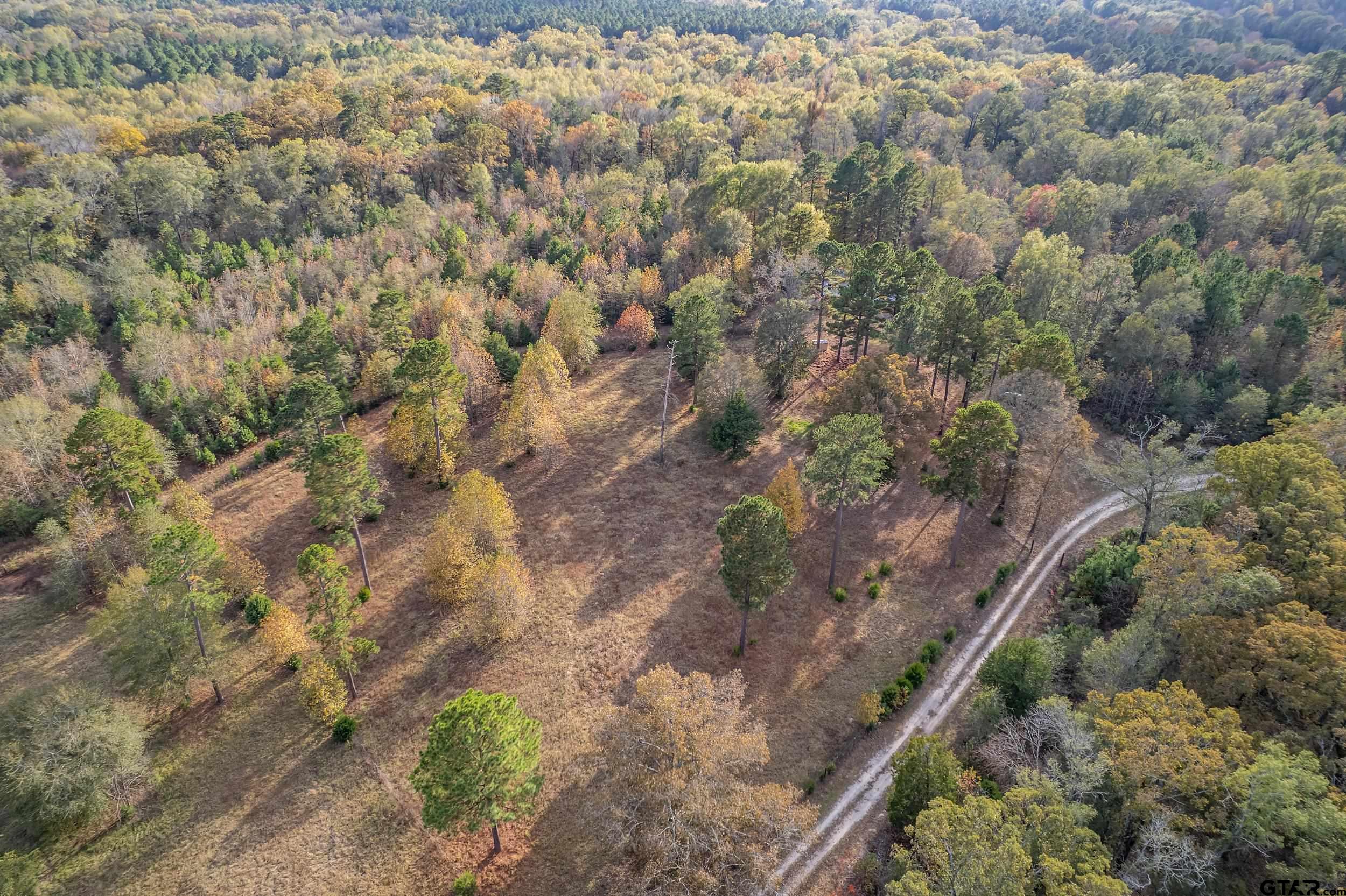 20304 State Highway 155 Winona, TX 75792 - Photo 15 of 48 a view of a yard with plants and large trees